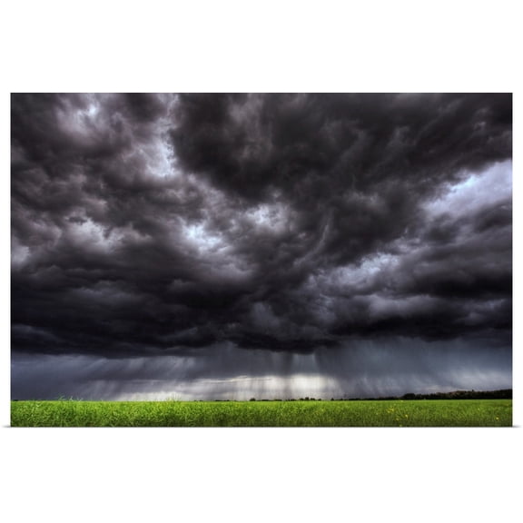 Great BIG Canvas | Rolled Dan Jurak Poster Print entitled Summer Storm Clouds Over An Unripened Canola Field, Alberta, Canada