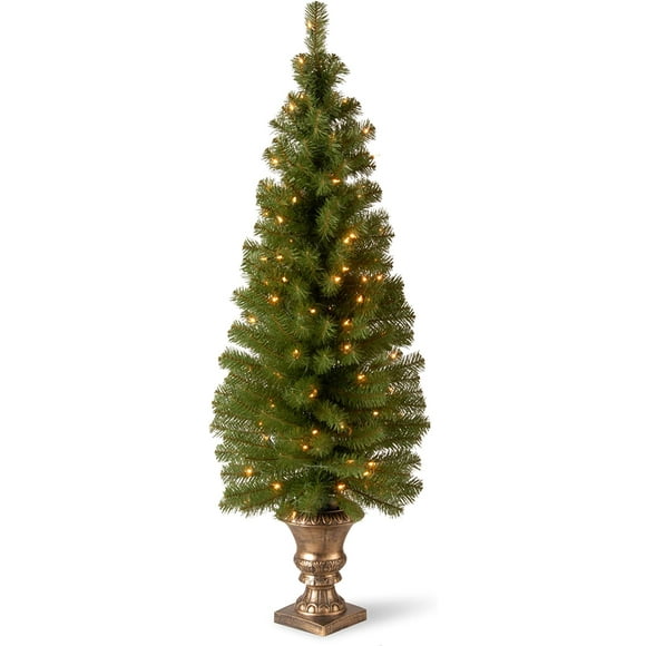 5 Foot Montclair Spruce Entrance Tree with 100 Clear Lights in Gold Urn (MC7-308-50)