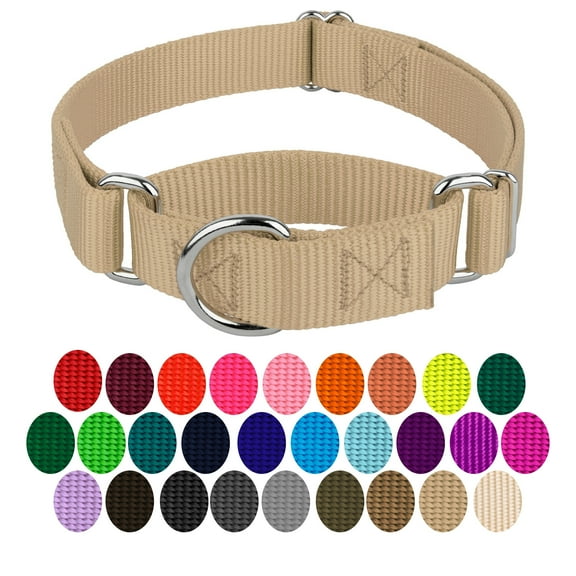 Country Brook Petz® Martingale Dog Collar - Training Collar with No Buckle (Copper Gold, Small)