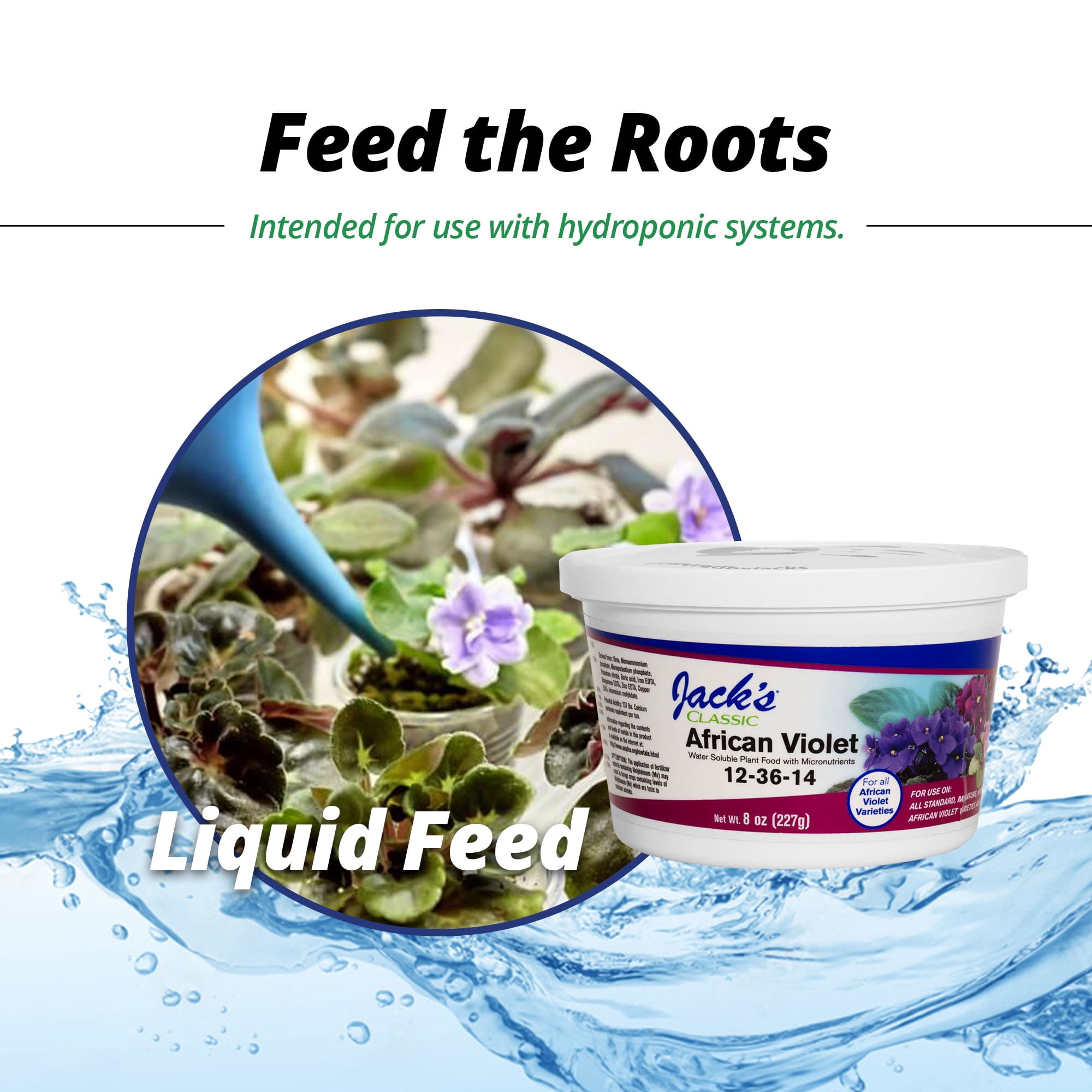 Jack's Classic African Violet 12-36-14 - 8oz Tub