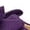 Purple, variant on Beige Ladies Bowknot Wedge Heel Loafers Slip-On Casual Comfortable Work Shoes Plus Size Spring Summer