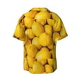 thumbnail image 2 of Disketp Men's Hawaiian Ripe Yellow Lemon Print Shirts Button Down Holiday Beach Shirts-X-Large, 2 of 7