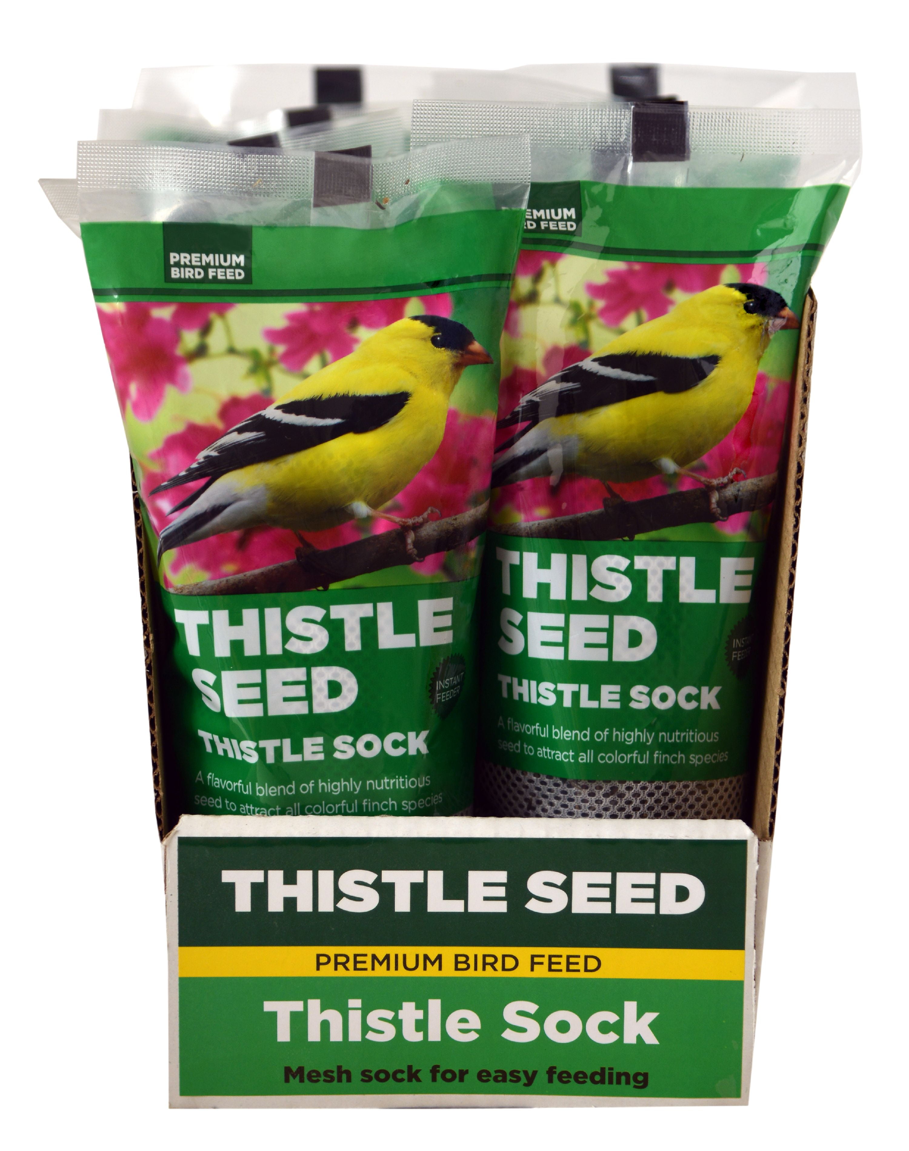 Premium Thistle Seed Sock 13 Oz Walmart Com