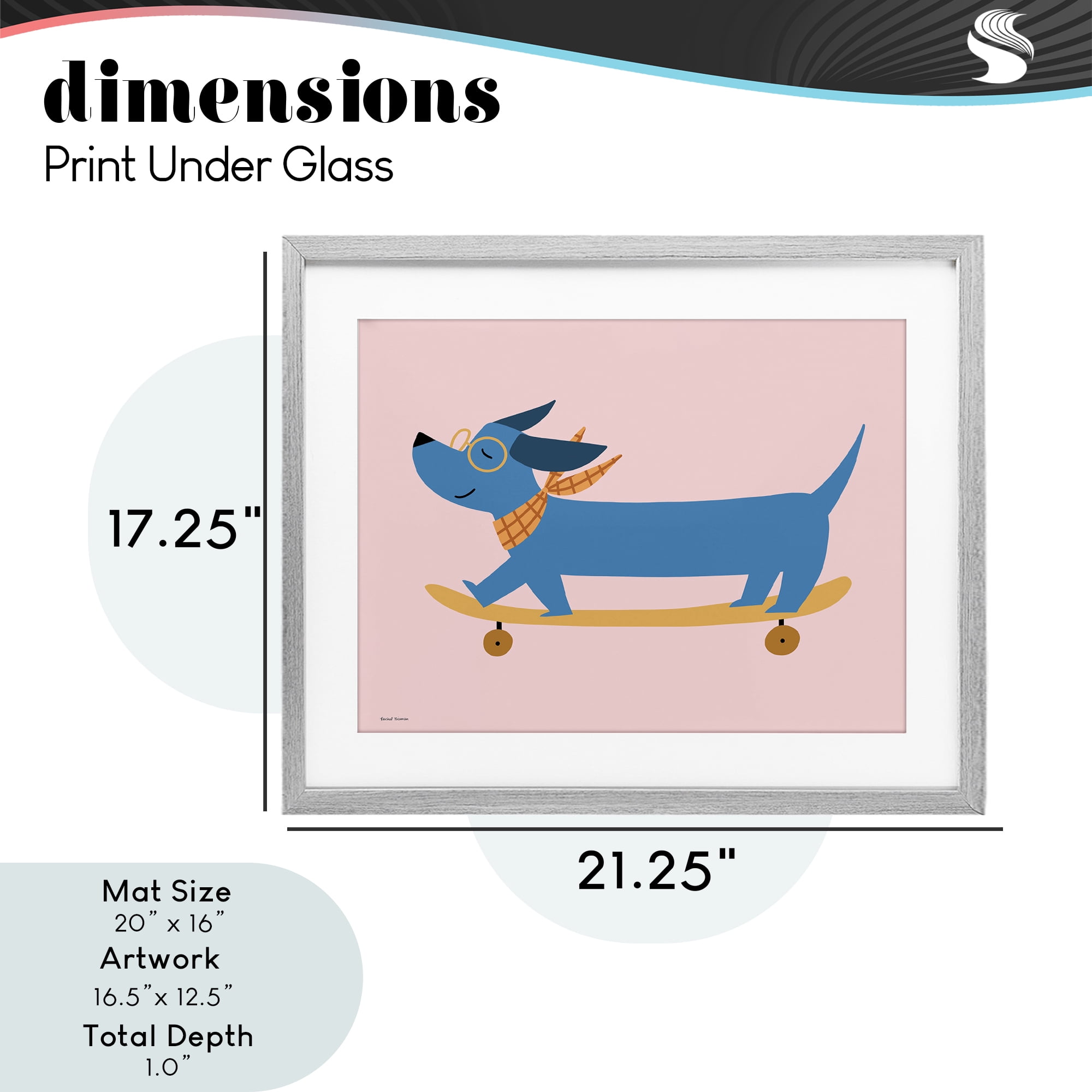 Stupell Industries Skateboarding Wiener Dog Gray Framed Print Under Glass, design by Rachel Nieman