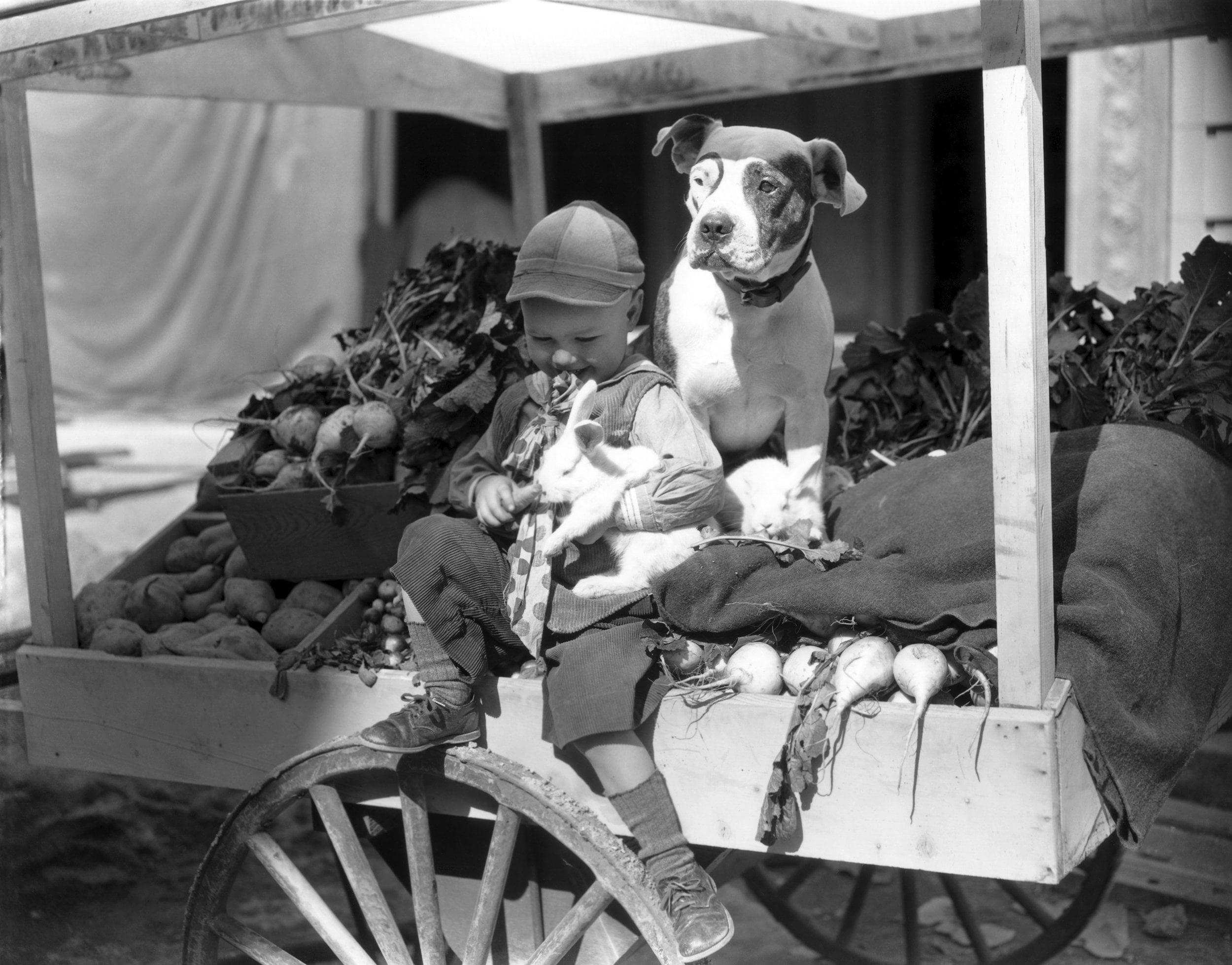 Little Rascals Our Gang Photo Print 14 x 11/"