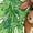 AA-White, variant on Inktastic Alaska Moose and Trees Toddler Sweatshirt