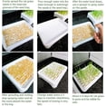 thumbnail image 3 of EASTIN 2-Pack Cat Grass Planter (No Seeds Included)  Tri-Section Design  Anti-Pull Out Cat Grass Seed Starter Tray  Sprouts Growing Kit  Microgreens Growing Trays, 3 of 8