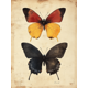 thumbnail image 1 of Qisvanset 12x16 Inch With Frame 2D Flat Wall Art Three Butterfly Minimalist Modern Living Room Wall Art, 1 of 8