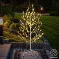 thumbnail image 4 of Árbol de Estrella LIGHTSHARE de 3 Pies con 112 Luces LED Color Blanco Cálido, 4 of 9