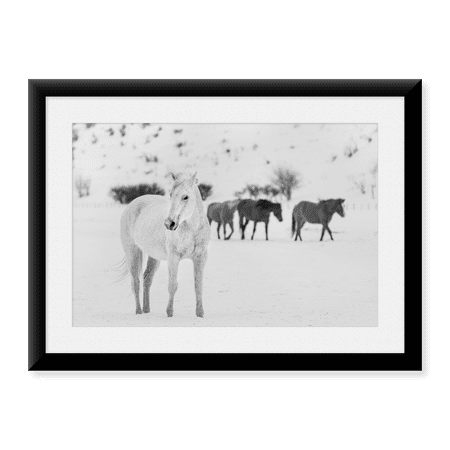 Framed Art Print, A mixed herd of wild and domesticated horses by Carol Highsmith, 17-7/8" x 21-7/8"