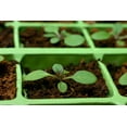 thumbnail image 5 of Coco Coir Brick, OMRI Listed for Organic Use (1), 5 of 5