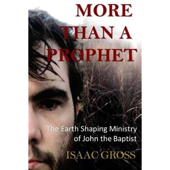 Pre-Owned More Than a Prophet : The Earth Shaping Ministry of John the Baptist (Paperback)