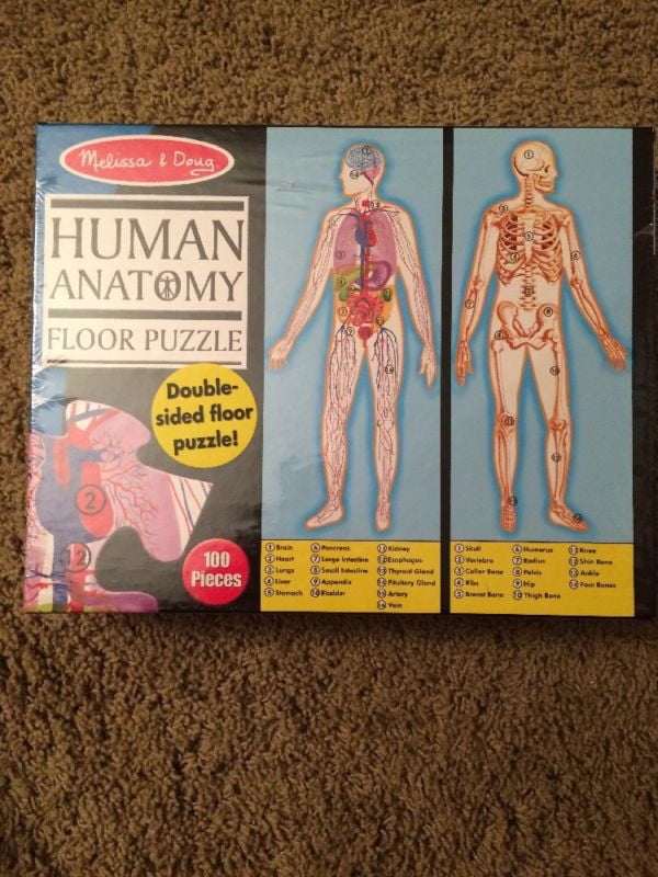 melissa and doug human anatomy