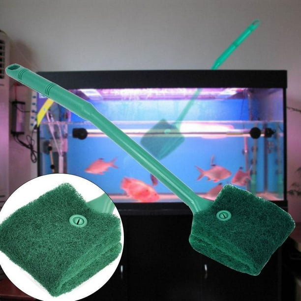 Aquarium Nettoyage Éponge Algues Grattoir Poisson Réservoir Longue Poignée Outil de Nettoyage Vert
