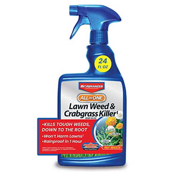 BAYER CROP SCIENCE 704125 AllinOne Lawn Weed and Crabgrass Killer