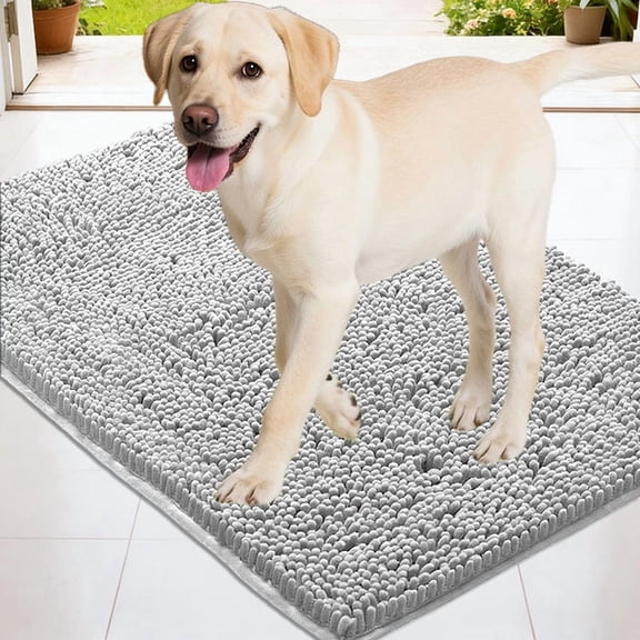 Super Absorbent Door Mat for Mud Paws - Non Slip Microfiber Entryway Rug, Machine Washable & Quick Dry Chenille Pet Cleaner Mat for Bathroomm, Indoor Outdoor, Light Gray, 24"X16"