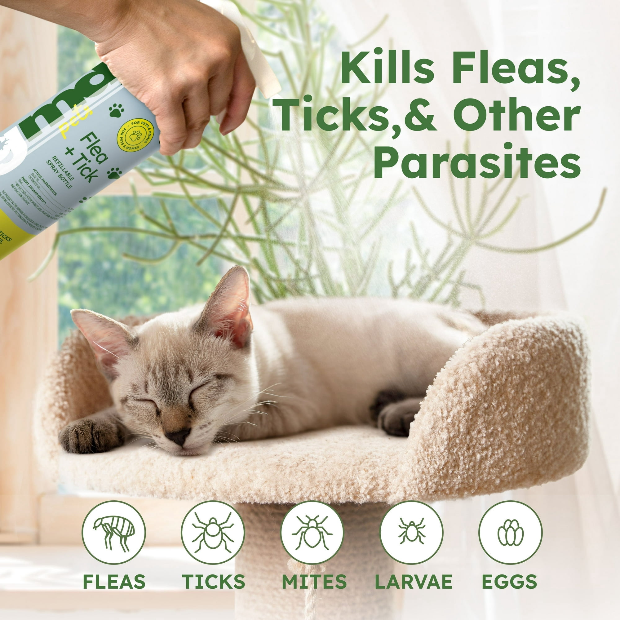 Flea & Tick Starter Kit, 3.7 oz. Concentrated Indoor/Outdoor Flea and Tick Insect Killer Spray (2-Pack)