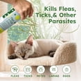 thumbnail image 3 of Flea & Tick Starter Kit, 3.7 oz. Concentrated Indoor/Outdoor Flea and Tick Insect Killer Spray (2-Pack), 3 of 5