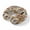 Brown, variant on Neck Pillow Ergonomic Memory Foam U Shaped Pillows,Colorful Stripes Gradient Art Soft Portable Neck Head Support Cushion Pillow for Travel Airplane Car Office Use,Modern Rainbow Texture