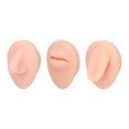 thumbnail image 4 of Modèle de Corps en Silicone 3D pour la Pratique - Ensemble de Modèle de Nez de Bouche Réutilisable, Modèle de Corps de Simulation Portable avec Nez, Langue, Bouche - Formation de Maquillage, 4 of 8
