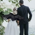 thumbnail image 3 of BELOVING Feather Angel Wing Party Decoration Props Show Scene Layout Cosplay Accessories Black, 3 of 8