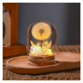 thumbnail image 1 of Natural Dandelion Real Dried Flower and Preserved Grass Eternal Flower Glass Cover, 1 of 5