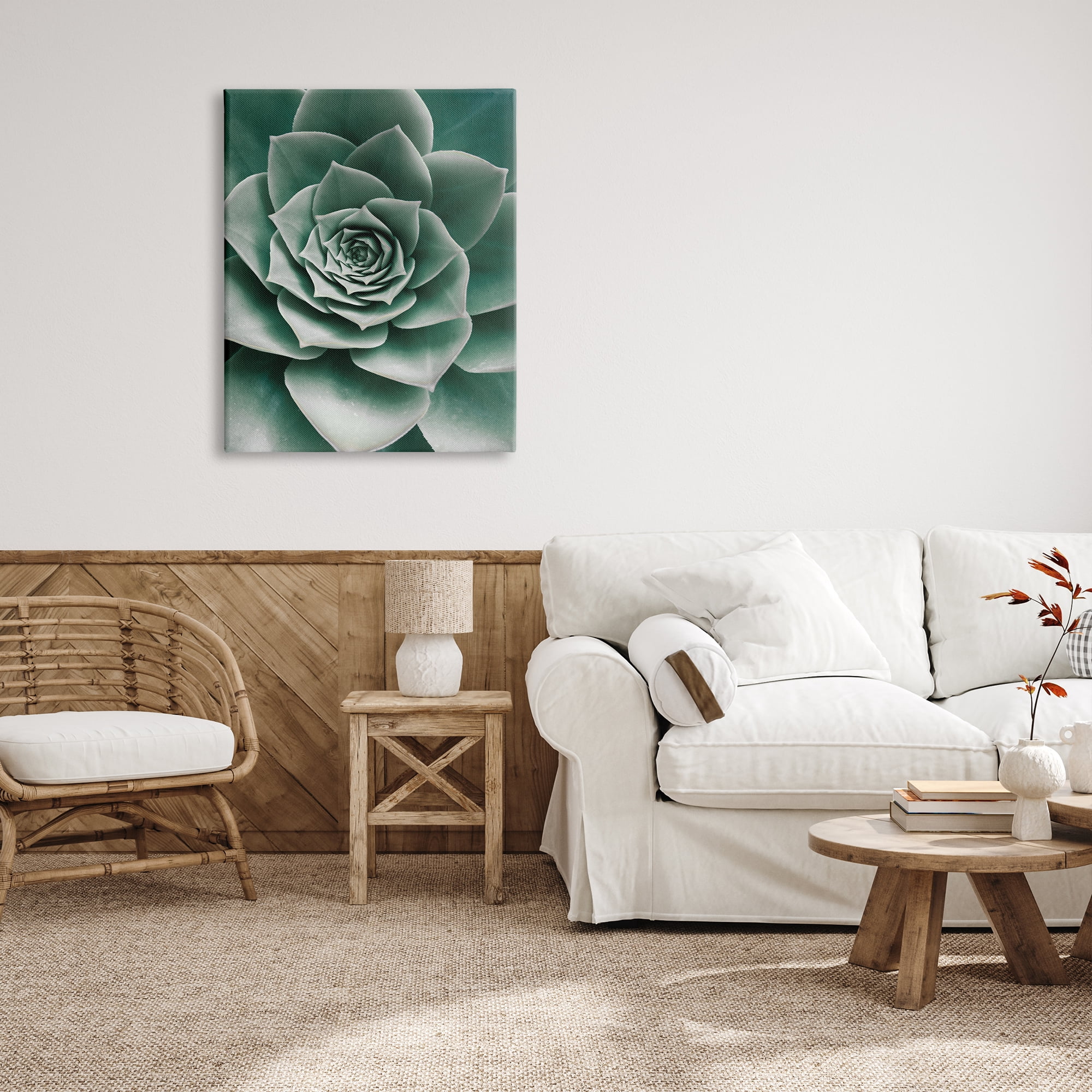 Stupell Industries Green Succulent Photography Botanical & Floral Photography Gallery Wrapped Canvas Print Wall Art, 30 x 40