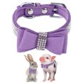 thumbnail image 5 of Collar Bling Para Mascotas, Collar Bling Para Mascotas Pequeñas Con Hebilla En D A La Moda Para Mascotas Pequeñas ANGGREK Descripción de la referencia, 5 of 5