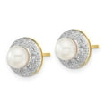 thumbnail image 2 of Auriga 14k Yellow Gold and 5-6mm Pearl 00.5ct Diamond Stud Earrings for Women(L- 10mm, W- 10mm), 2 of 5