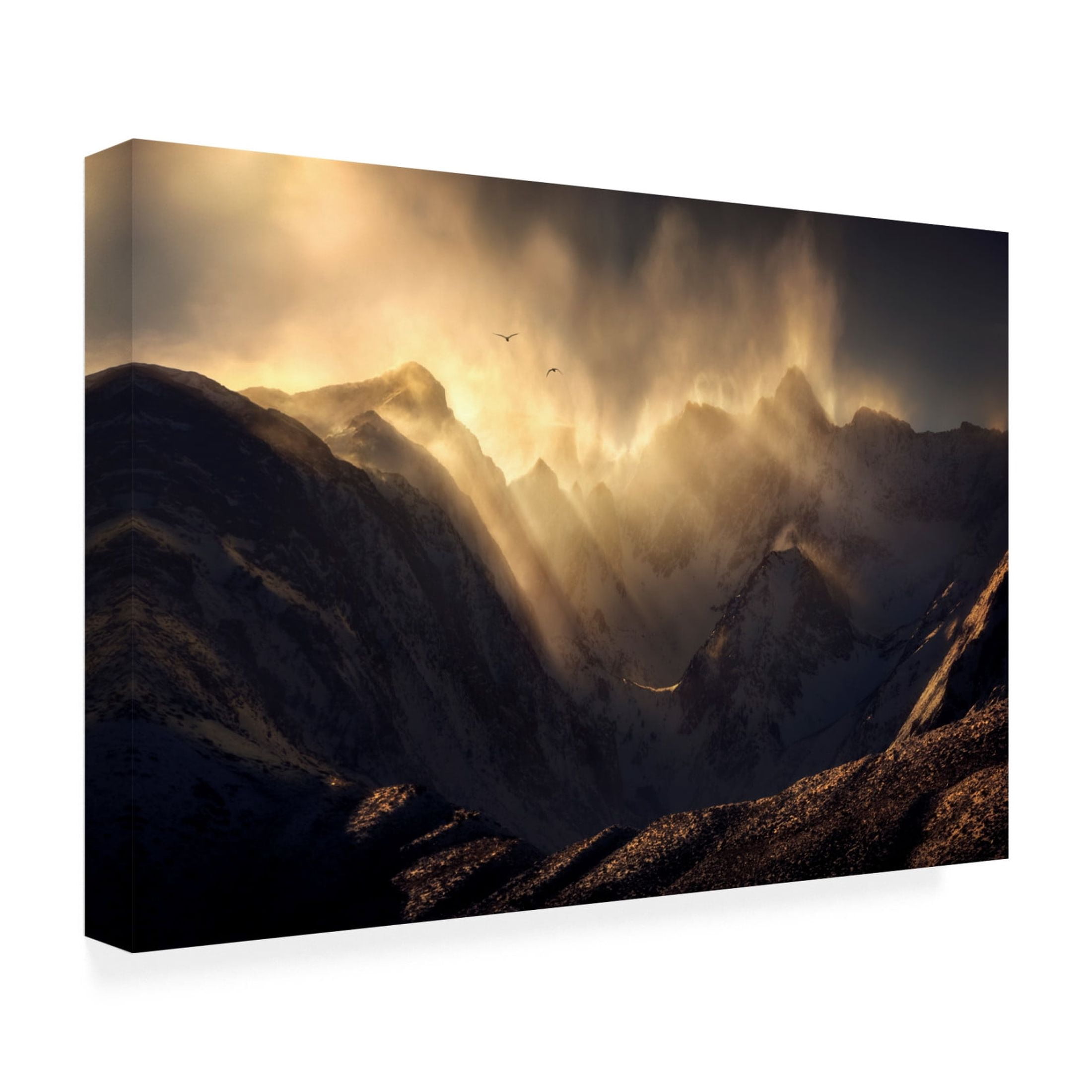 Canvas Wall Art - Ryan Dyar 'Polterzeitgeist' Wall Art for Living Room, Bedroom, or Office Décor by Trademark Fine Art - 19 x 12 Inches