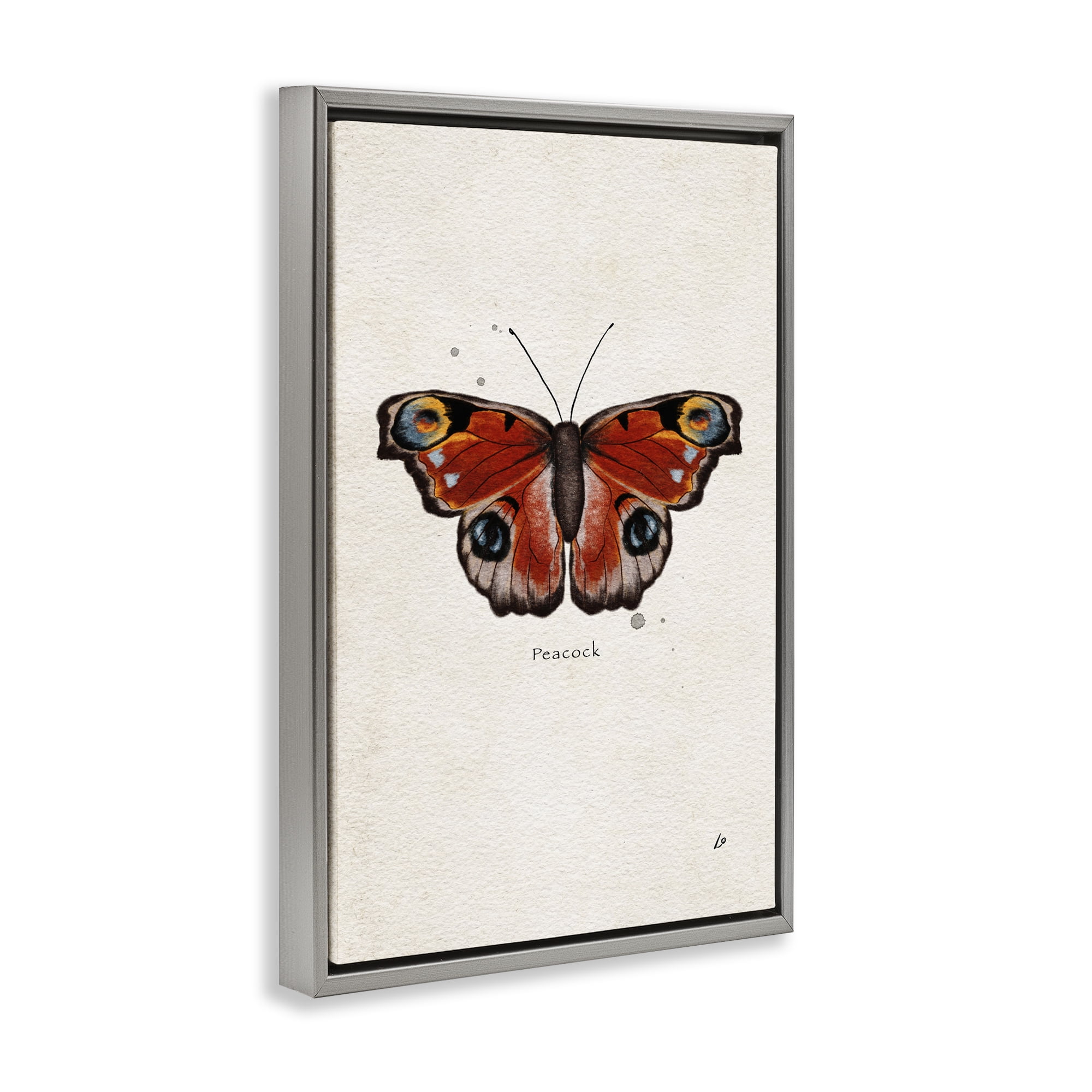 Stupell Industries Peacock Butterfly Study Insects Painting Gray Floater Framed Canvas Art Print Wall Art, 21 x 31