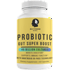 Mastermind Naturals Probiotic Gut Super Boost 40 Billion Cultures with Enhanced Absorption Technology 60 Capsules