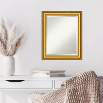 Amanti Art Beveled Wood Wall Mirror - Colonial Embossed Gold Frame Outer Size: 20 x 24 in
