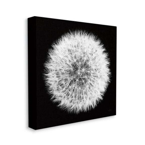 Dandelion Floral Fluff Flower Black White Photograph Botanical & Floral Gallery-Wrapped Canvas Print Wall Art, 17x17