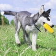 thumbnail image 4 of GUANGHONG Jouet pour Chien TPR Jouet à Mâcher Durable Texture de Maïs Réaliste Corde Couineuse Nœud de Dentition Grands Os pour Mâcheurs Agressifs Grande Race Petits Os à Mâcher Mâcheurs Agressifs, 4 of 8