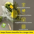 thumbnail image 6 of CHRYSAL Clear 200 Piece Universal Flower Food, 6 of 7