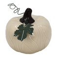 thumbnail image 2 of Decoración de calabaza Way to celebrate Harvest cerámica beige de 9 cm de altura., 2 of 4