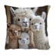 thumbnail image 2 of Juego de cojines con estampado de animales adorables para dormitorio, sala de estar o sofá (45x45 cm). Funda de almohada de tela de lino., 2 of 6