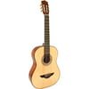 Hohner LG2 Acoustic Guitar