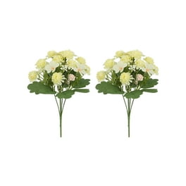 2 Rouleaux De Ruban Floral Transparent PET - 1/4 De Pouce X 36 Yards - Imperméable