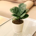 thumbnail image 3 of 4 inch Oatmeal Minimalist Pot with Saucer - Pot for Houseplants and Succulents - Modern Minimalist Pot - Pot with Saucer and Drainage Hole, 3 of 7