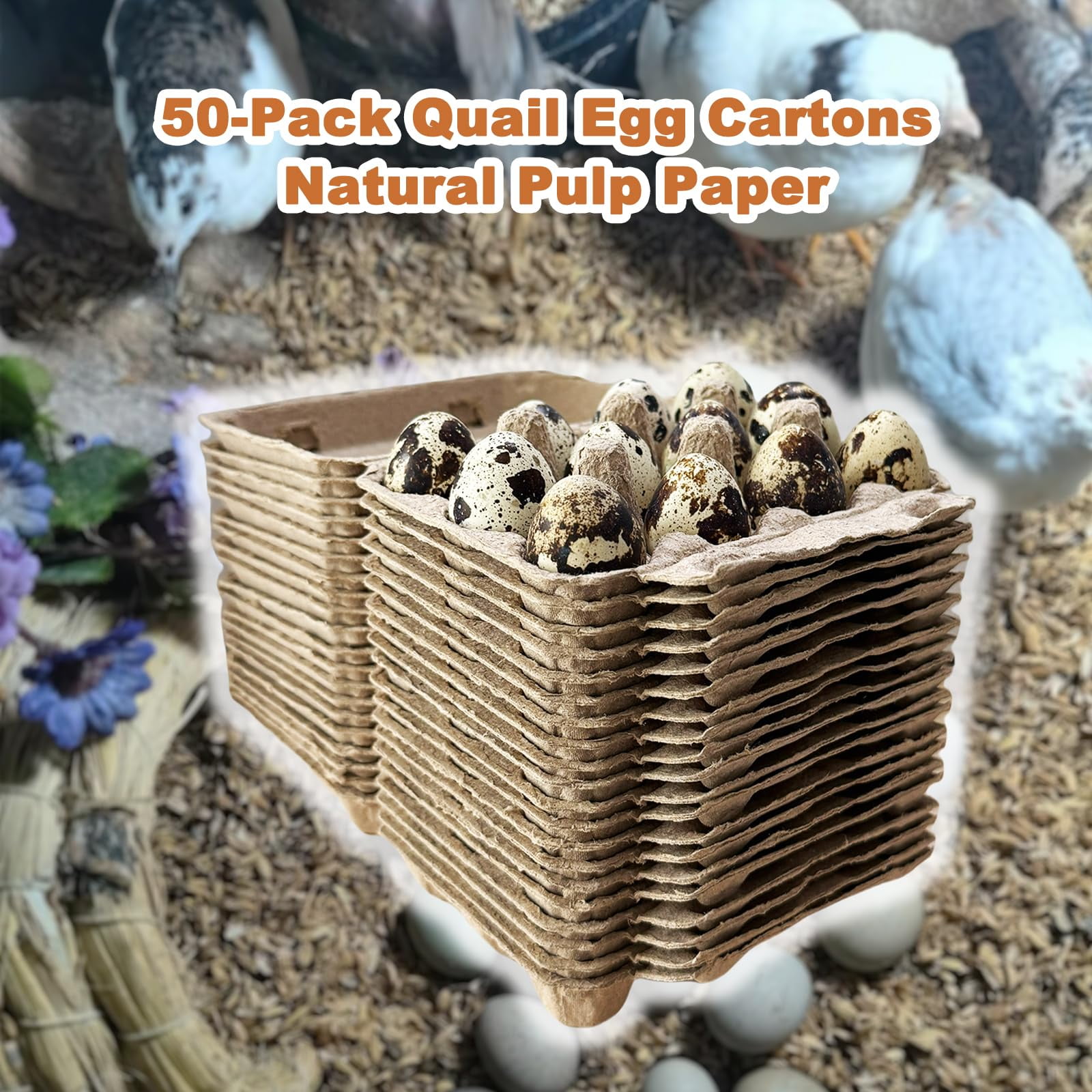 1 Dozen Paper Pulp Small Quail Bird Egg Cartons Cheap Bulk Farm Fresh Eggs hatching Box Tray Basket Countertop Holder Storage Container Reusable Button Quail Supplies 12 Count (50)