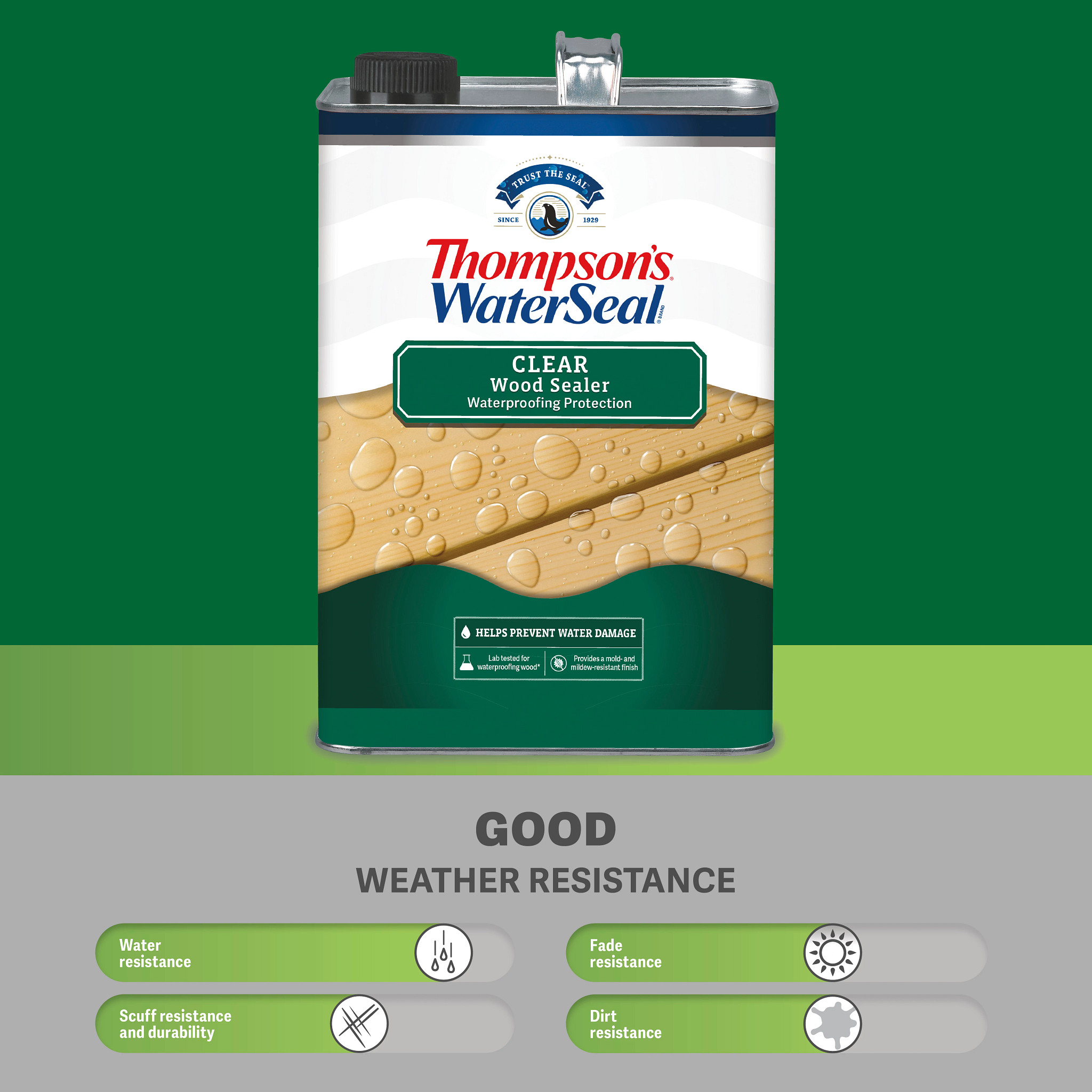 Thompson's WaterSeal Clear Wood Sealer, Clear, 1 Gallon