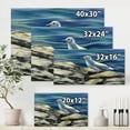 thumbnail image 4 of Designart ' Portrait of Seagull Birds By The Sea ' Nautical & Coastal Canvas Wall Art Print, 4 of 4