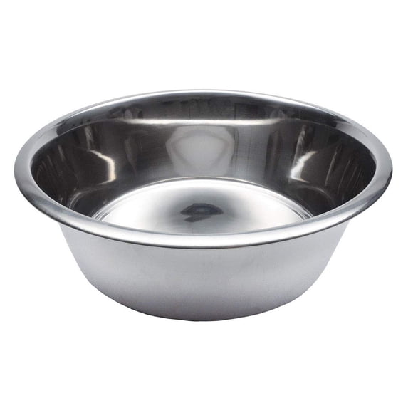 Cuenco para perros de acero inoxidable estándar Maslow de Coastal Pet