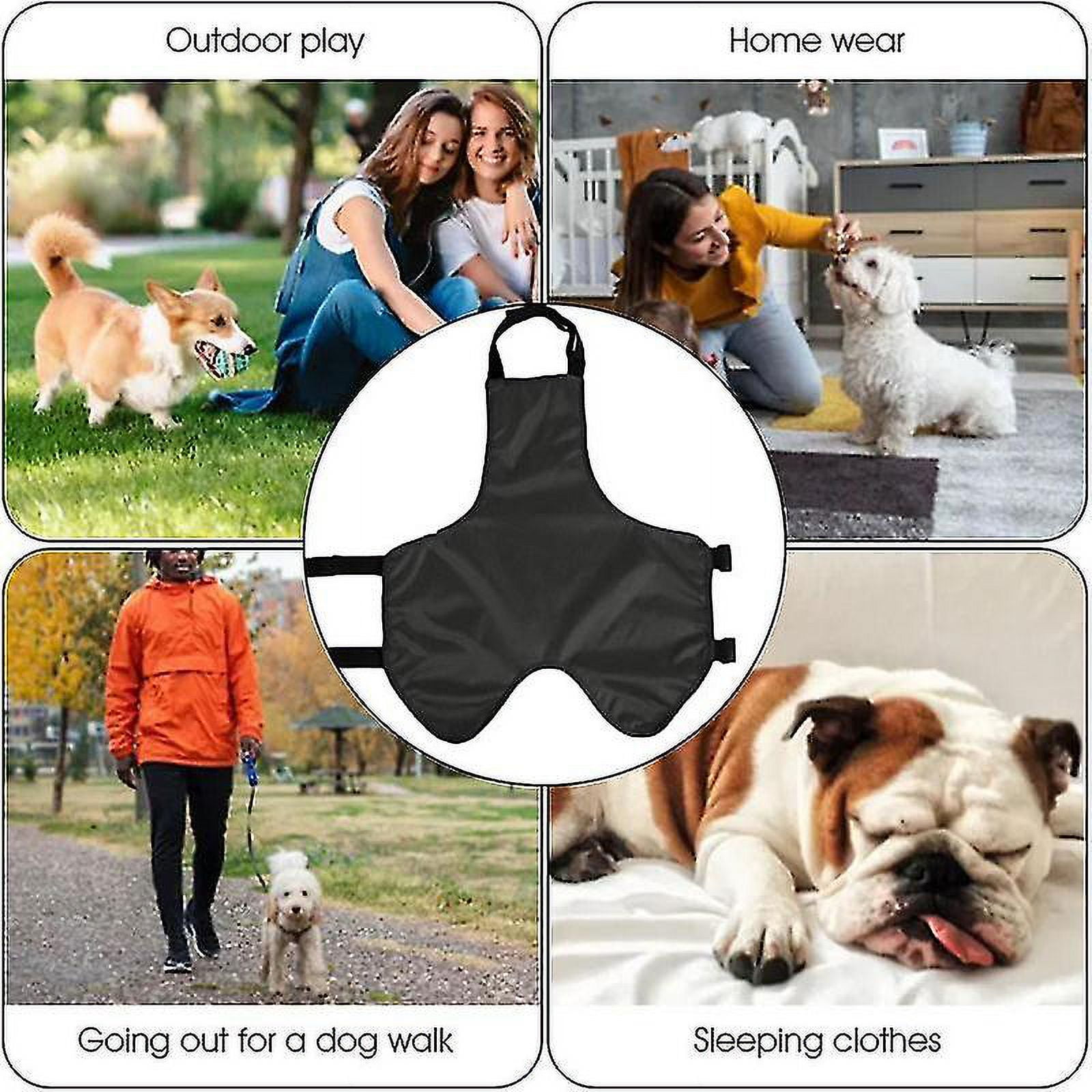 Dog pee belt outlet