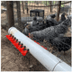 thumbnail image 5 of Kit Bebederos Bloosom  Separadores Para Gallos,pollos,codorniz, 30 Pzs Rojo, 5 of 5
