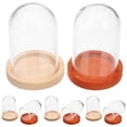 thumbnail image 4 of Miangastore 10 Pcs Petit Vitrine en Verre Transparent avec Base, 4 of 8
