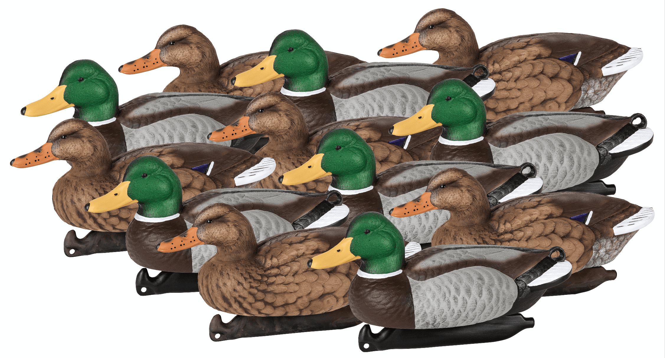 Flambeau Outdoors 1812DPK Masters Series Mallard Decoys, Classic Floaters - 12-Pack