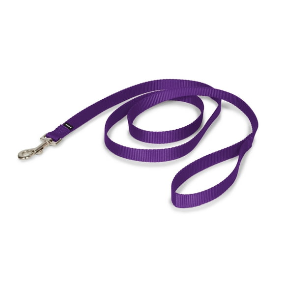 PetSafe Nylon Dog Leash, Strong, Durable, Traditional Style with Bolt Snap, 3/4" x 6' Deep Purple